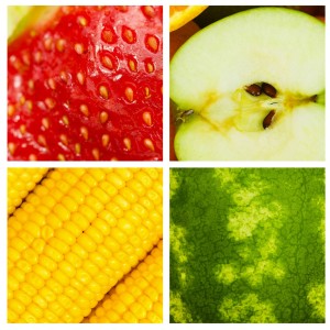 fruit squares 2